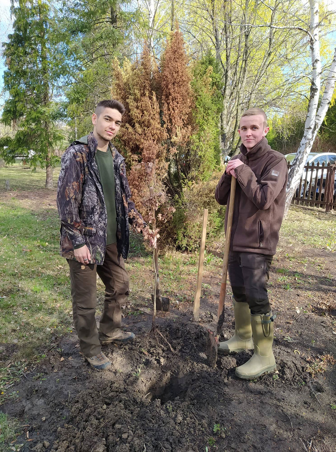 FAÜLTETÉSEK A SZARVASI ARBORÉTUMBAN (10)